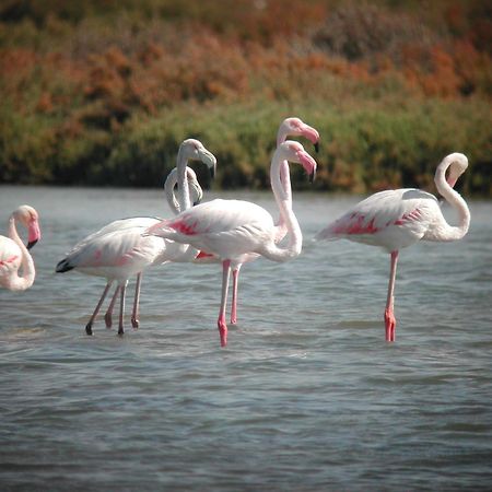 Alojamiento Rural Coto De La Isleta El Puerto de Santa María Eksteriør bilde