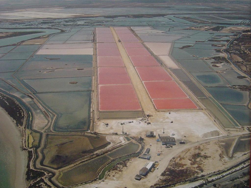 Alojamiento Rural Coto De La Isleta El Puerto de Santa María Eksteriør bilde